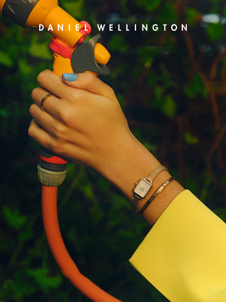 Montre pour femme Daniel Welli - Daniel Wellington Watches & Jewelry Online Store avis et prix